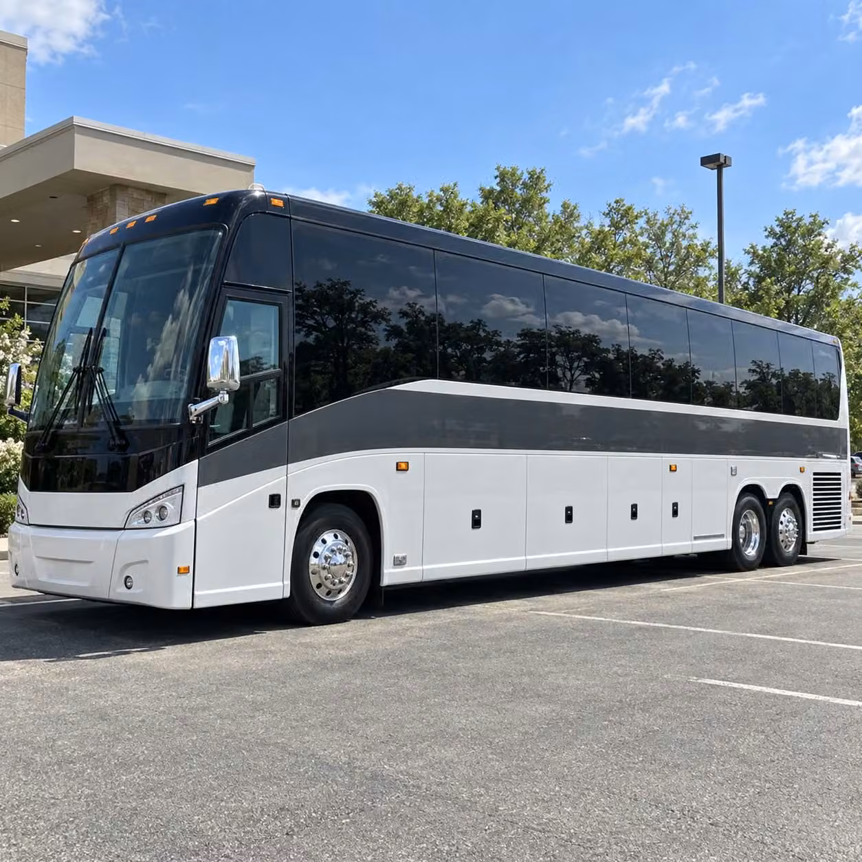 look no further for edinburg youth group and homeschool field trip transportation